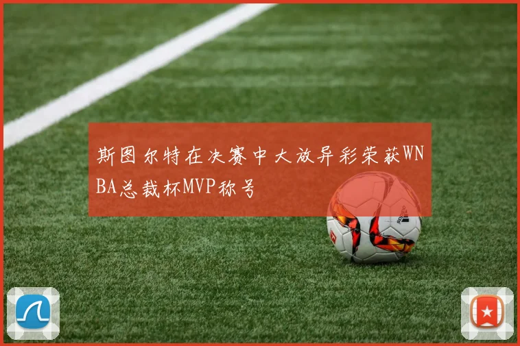 斯图尔特在决赛中大放异彩荣获WNBA总裁杯MVP称号